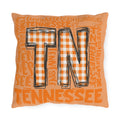 TN Outdoor Pillow